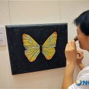 시각예술