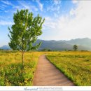 북면수변공원(야구장) 이미지