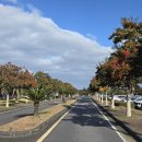 라온골프클럽 (대중형 27홀) | 🏌️‍♀️ 제주 바람과 싸운 하루 - 라온CC 에서의 골프 한 판