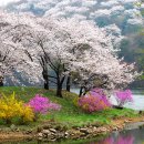 하늘 노래 소리 이미지