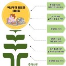책나무동부지사