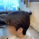 루시헤어 이미지