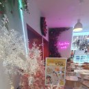 뉴코아베이커리 이미지