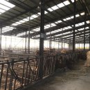 행복한 은혜농장 이미지