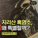 지리산토종약재 | 흑염소진액 복용법 왕혜문 흑염소즙 추천 직접 마셔본 솔직 후기
