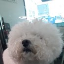 견생스타일 이미지