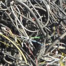 케이씨티알디 이미지