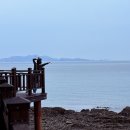 산자락에 | 인천 가볼만한 곳 추천 바다향기수목원 십리포해수욕장 선재도 목섬 뻘다방 로망스투어
