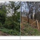 온수근린공원 이미지