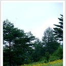 구와우농장 이미지