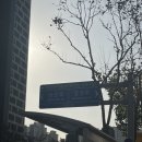 달성로~남산로 네이버블로그