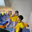 봉황초교병설유치원 이미지