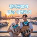 아스팔트커피(ASPHALT COFFEE) | 🐾 다낭에서 반려동물과 여행하기호텔 · 카페 · 교통 올인원 가이드 🇻🇳✨