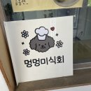 멍멍미식회 이미지