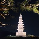 중앙탑길 이미지