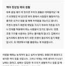 주식회사 백야 이미지