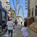 향토회식당 | 울릉도 도동항 오징어물회 맛집 [향토회식당]