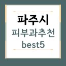 경기도 파주시 피부과 추천 BEST5 | 전문의, 필러, 보톡스, 기미, 여드름, 후기 | 잘하는곳