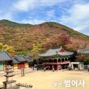 청송맷돌순두부 | 부산 단풍 명소 범어사 실시간 단풍 스팟 돌담길 위치 주차 후기 &amp; 내돈내산 맛집