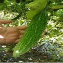 남가네 농장 이미지