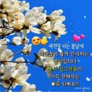 더봄날에