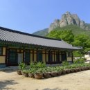 얼음골힐링사과