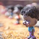 조천농장 이미지