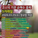 투에이치팜