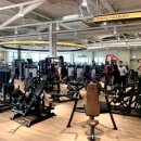 휘트니스 풀바디 이미지