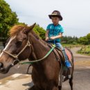 제주조랑말타운 이미지