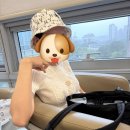 이록윤내과의원 | P12. 보형물 삽입 수술 🎀 드디어 확장기 졸업!