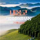 끝없이 펼쳐진 대자연, 바람이 춤추는 중국 내몽고 초원으로 초대합니다 🌾🌌 이미지