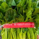 김소정의자연밥상