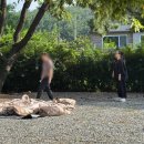 중부환경 노동조합 | 대부도 비치캠핑장 모토/오토캠핑 후기 및 해루질 해수욕 정보 바닷가캠핑장 바지락 노동하기