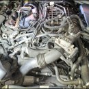 애니카랜드청림점 이미지