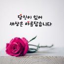 수요일 - 종로구 인사동길 36 | 수요일