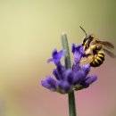 백산한의원 이미지