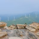 고산참송이버섯 이미지