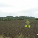 제주도 부동산 여행♠ 성산읍 시흥리 신공항에서 5분거리 농사용 임야 1,653㎡ 제주 부동산 토지 매매 관광 지도 맵 이미지