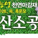 흥덕종합동물병원