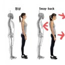 블로썸 핏 이미지