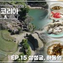 마리아의 마지막 힐링여행 ♡ 죽기전에 반드시 꼭 가봐야 하는 여행지 삼성궁과 하동의 별미 은어[트립 인 코리아 시즌2 EP.15] 본방 이미지