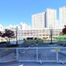 삼호초등학교병설유치원 이미지