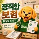[연신내] 정직한 보험 상담, 정도인스마트컨설팅 내돈내산 보장분석 후기