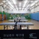 개방탁구 이미지