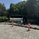 산책 | 구리 동구릉 산책 후기｜아기와 걷기 좋은 세계유산 산책 코스
