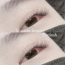 빈센트뷰티 이미지