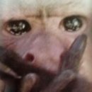 에너자이저 복싱 | 복싱 네이버 카페에 올라온 역삼동 복싱 에너자이저 에너자이저 후기