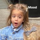 메디셀린 이미지