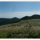 영은목장 이미지